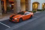 Shelby Super Snake Bold Edition 2019 года